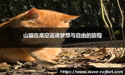山猫在高空追逐梦想与自由的旅程